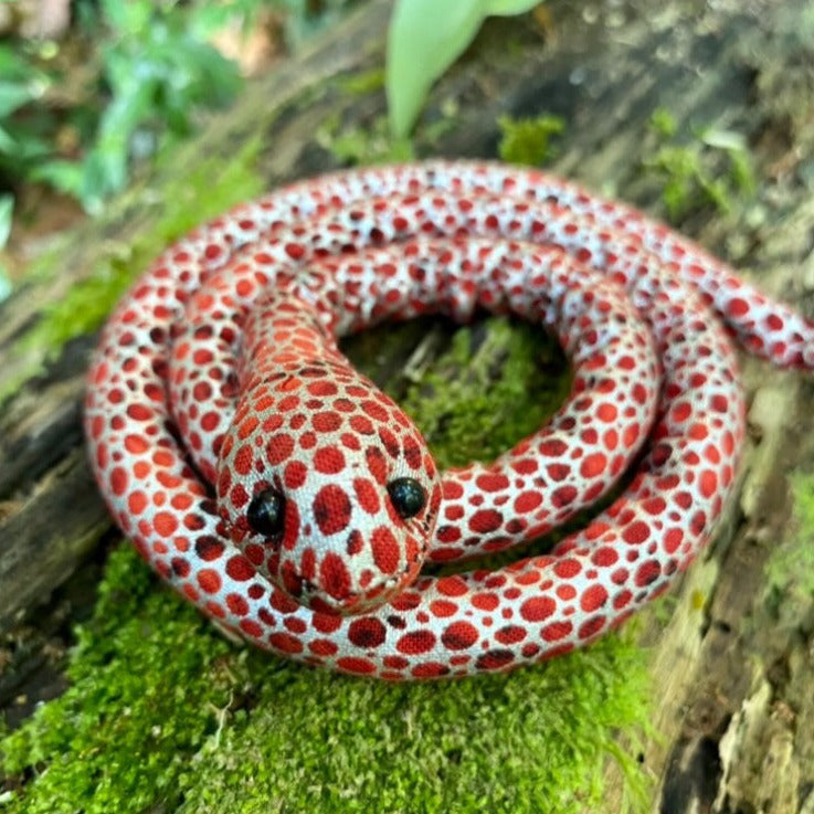 Dread Pet Snake Vegan Spiralocks