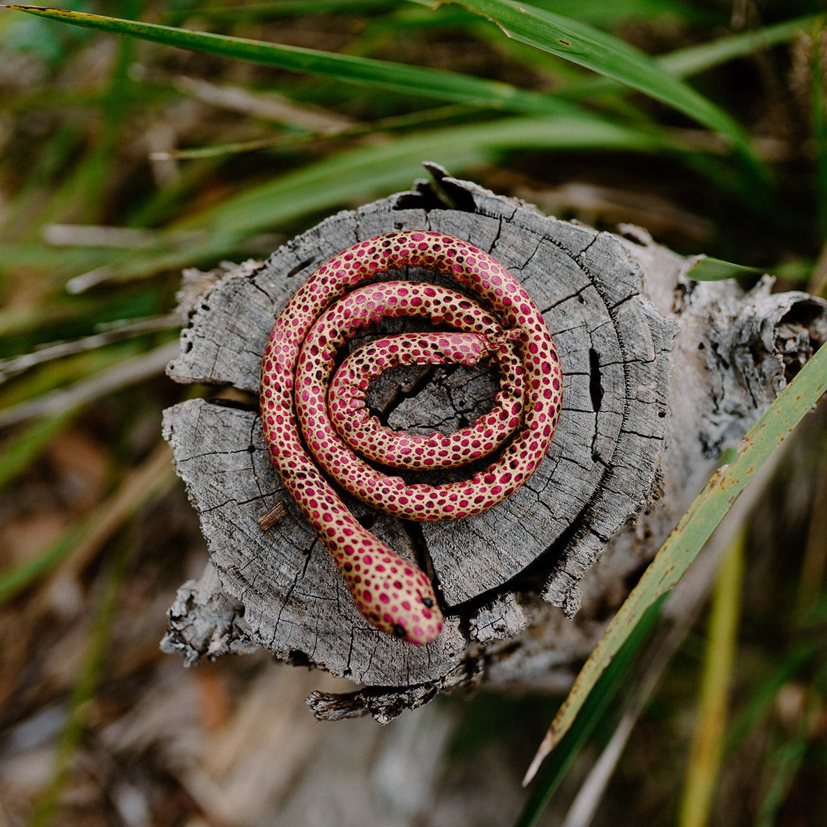 Dread Pet Snake Vegan Spiralocks