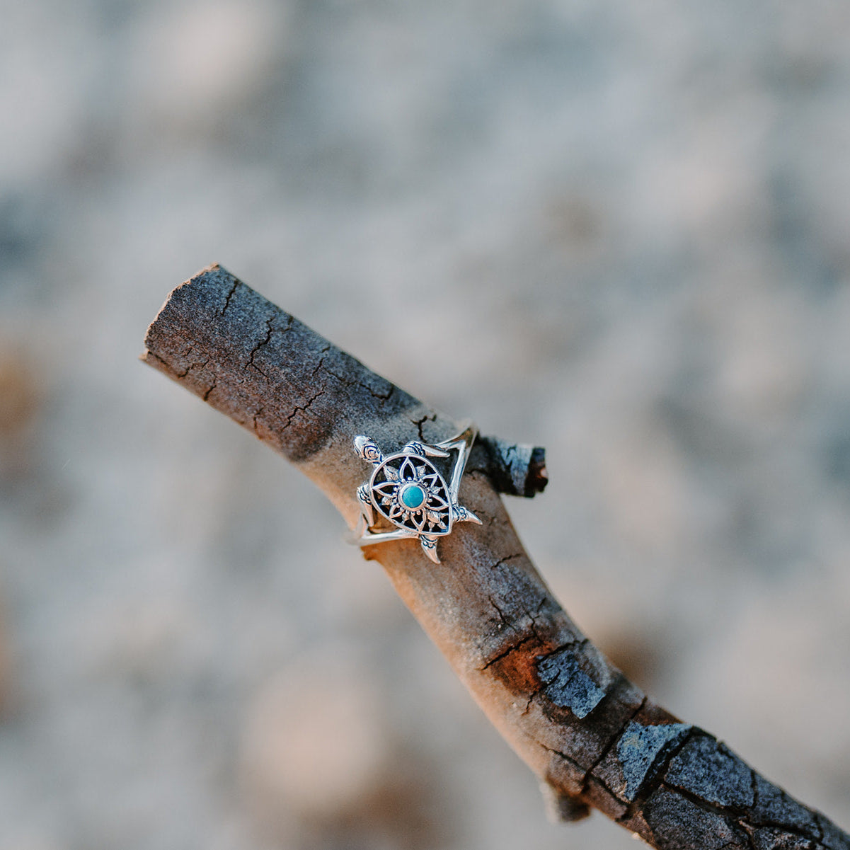 Sterling Silver Turquoise Turtle Ring