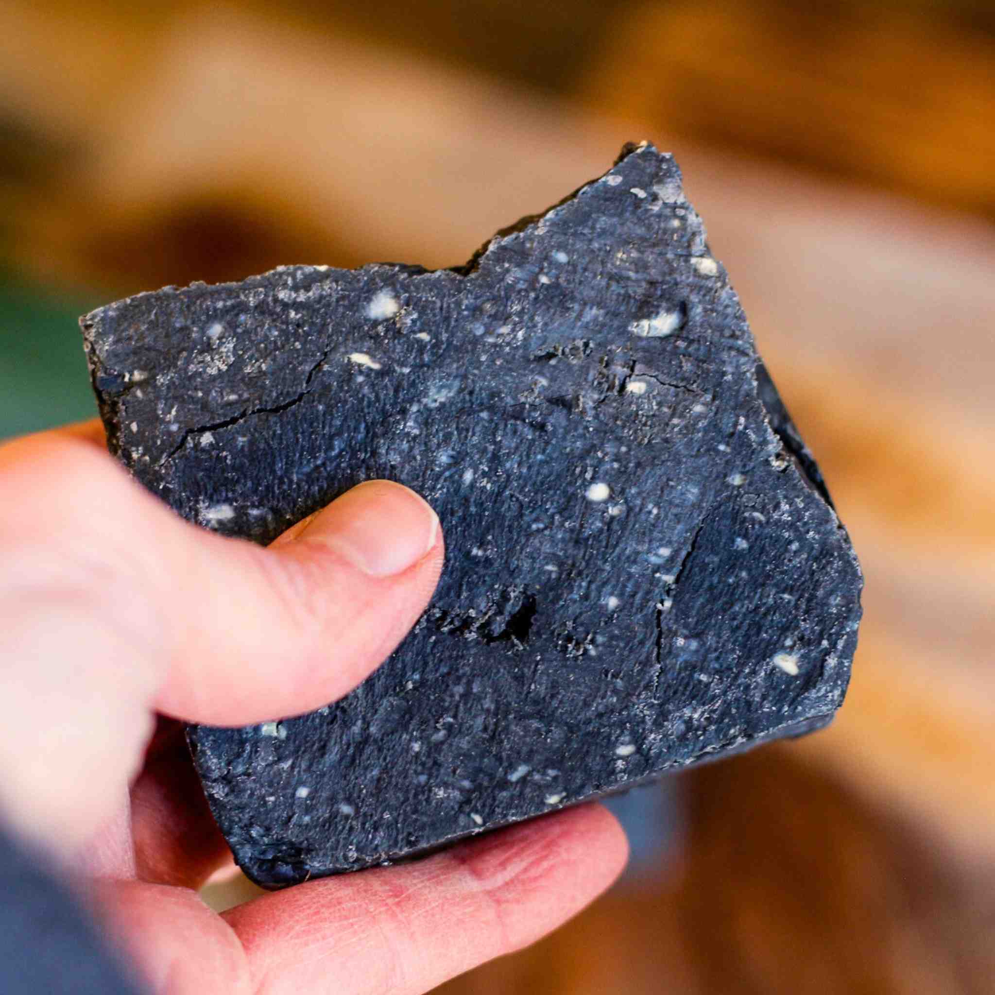 Raw Roots Deep Cleansing Shampoo Bar - Midnight Magic