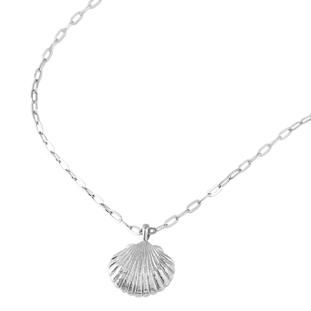 Sterling Silver | Sandshell Necklace