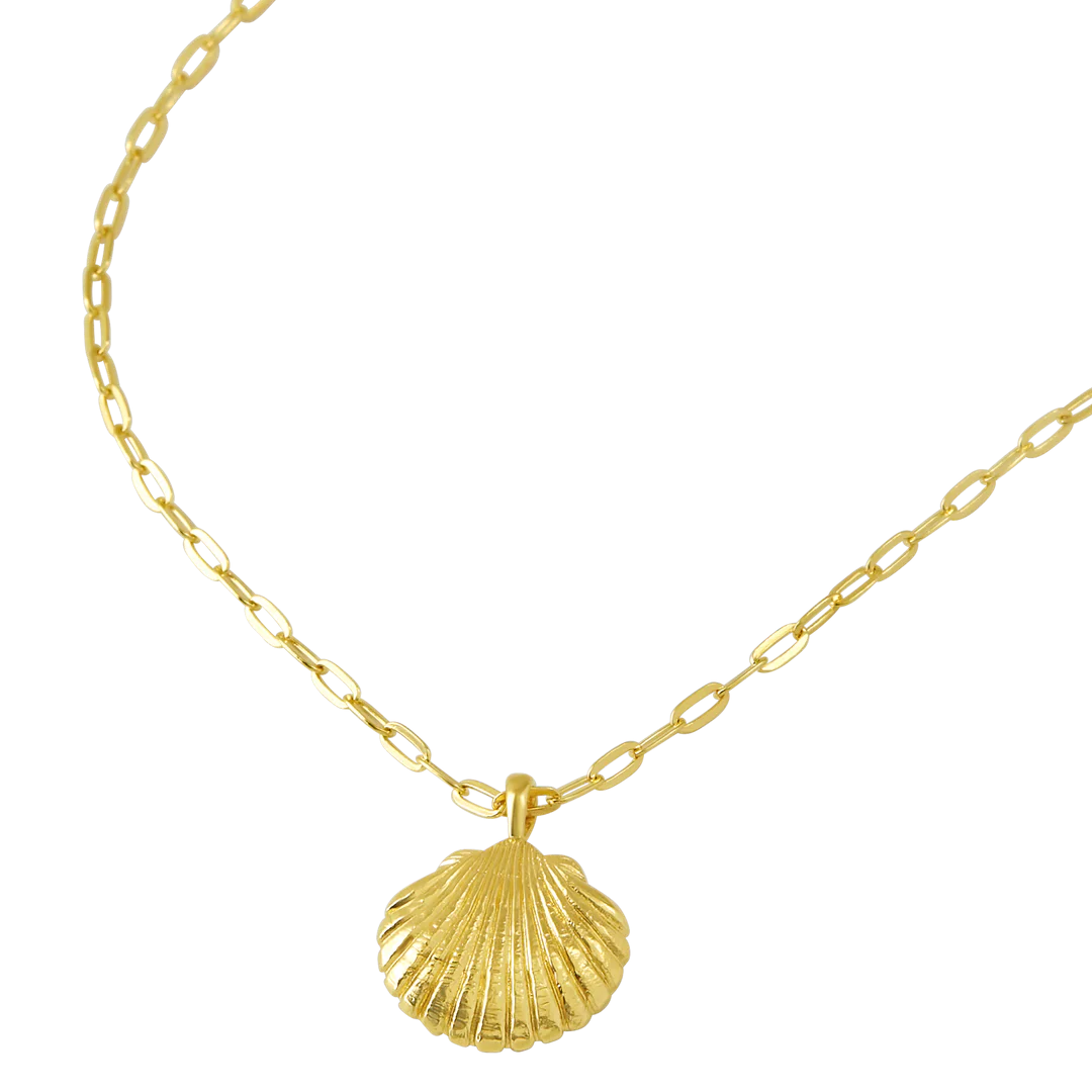 Sandshell Necklace Gold
