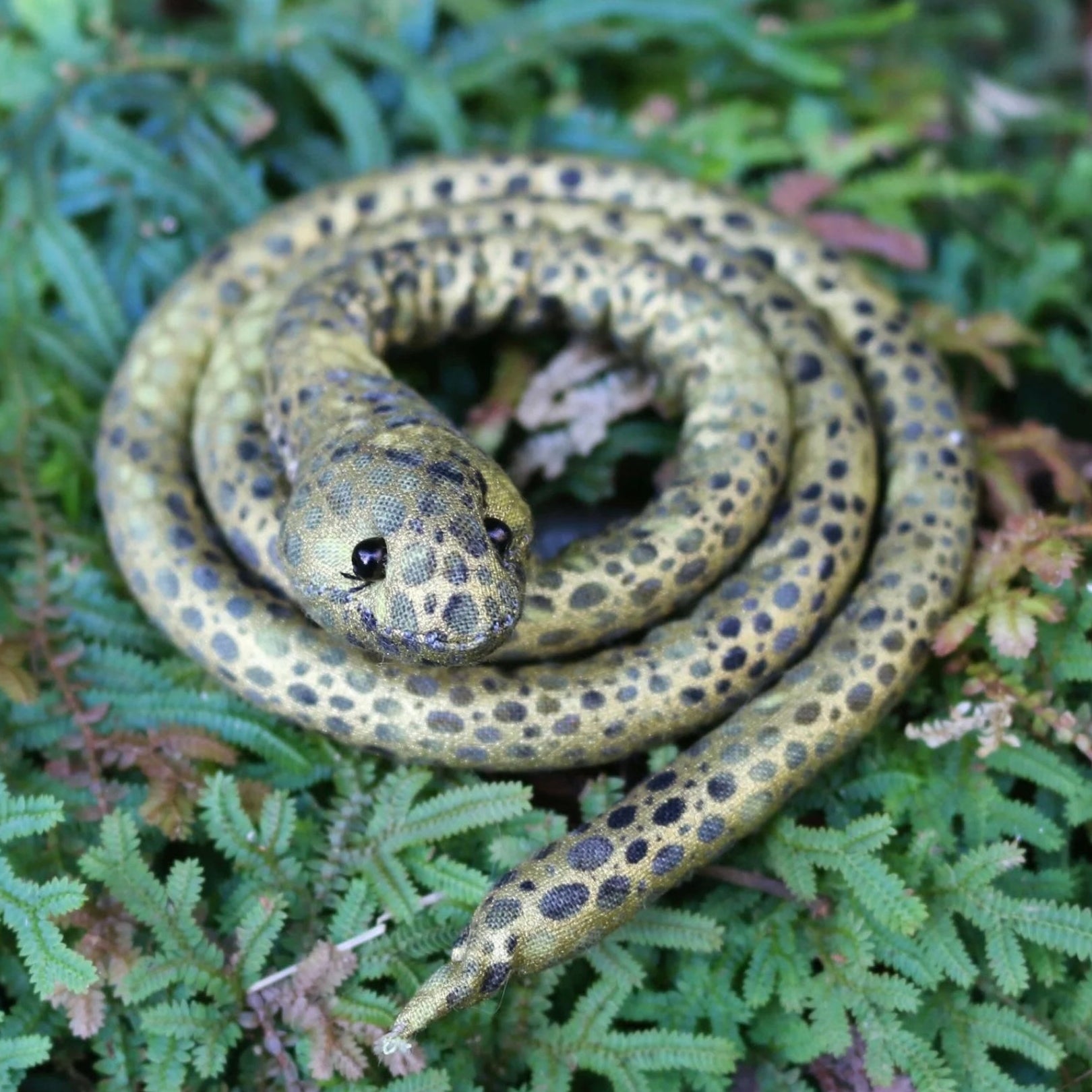 A spiral snake shaped dreadlock tie, a spiralock, with a gold and black pattern, placed on a leafy background.