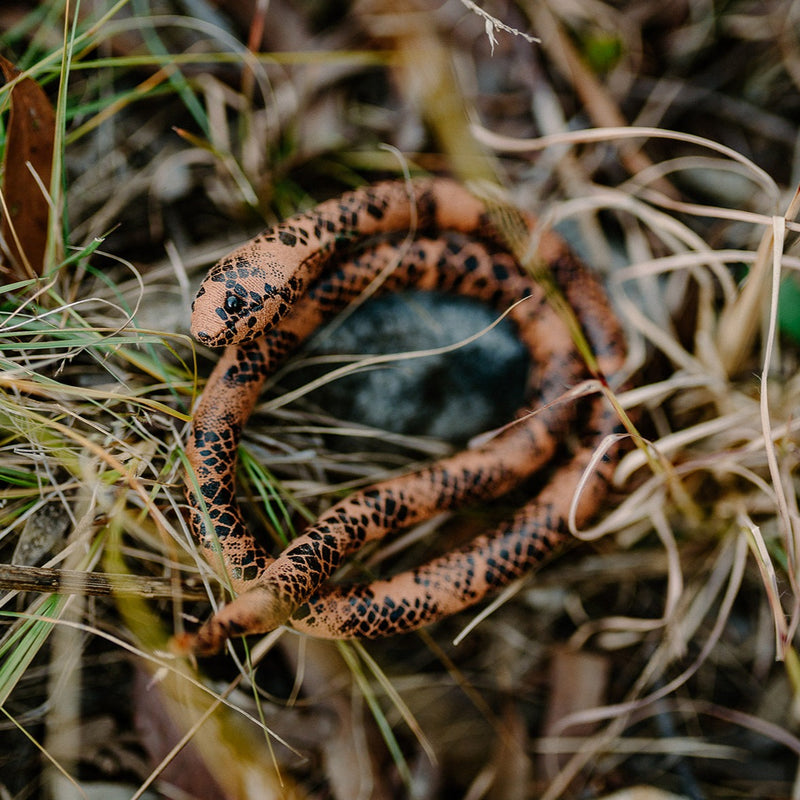 Brown Dread Pet Snake Vegan Spiralocks