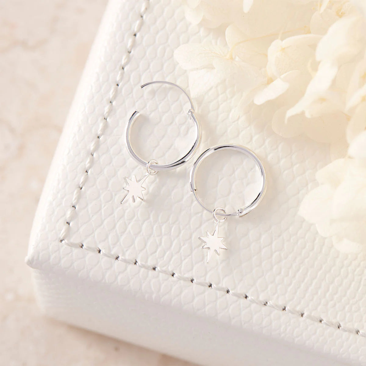 Sterling Silver Celestial Sleepers