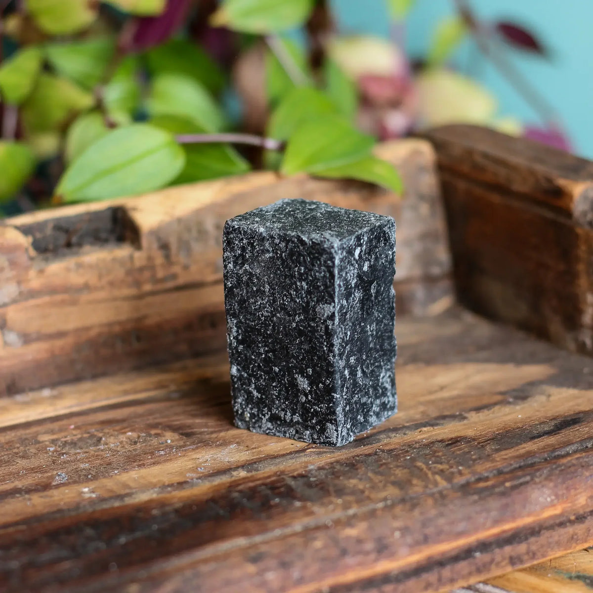 Raw Roots Deep Cleansing Shampoo Bar - Midnight Magic