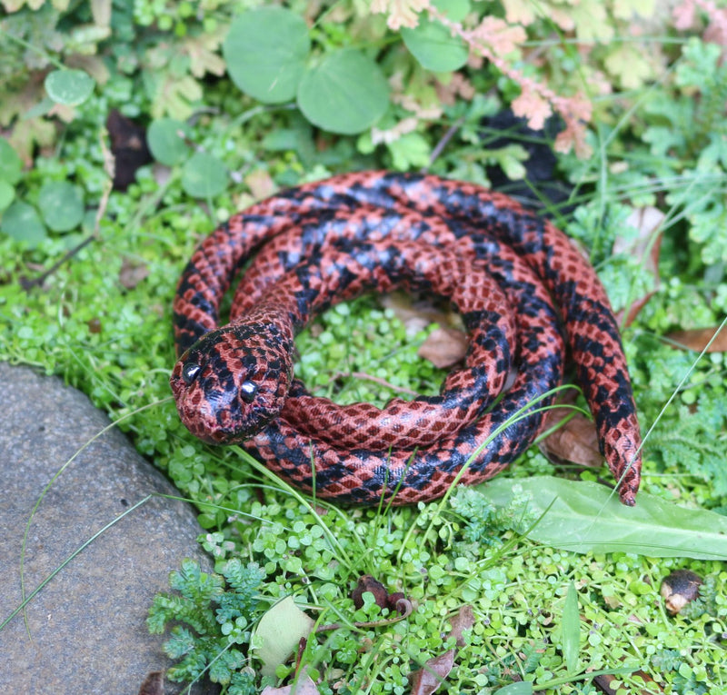 Dread Pet Snake Vegan Spiralocks