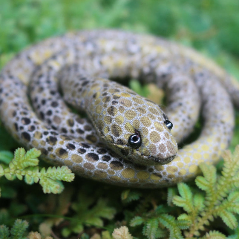 Dread Pet Snake Vegan Spiralocks
