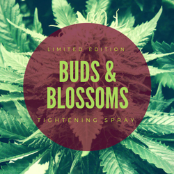 Dollylocks Tightening Spray | Buds & Blossoms LIMITED EDITION