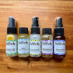 Dollylocks Travel Size Sampler Set